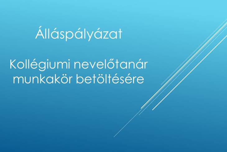 llsplyzat - kollgiumi neveltanr